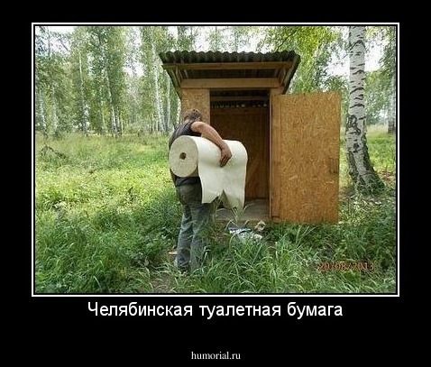 Челябинская туалетная бумага