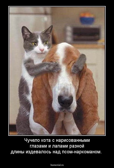 Чучело кота с нарисованными глазами и лапами разной длины издевалось над псом-наркоманом. 