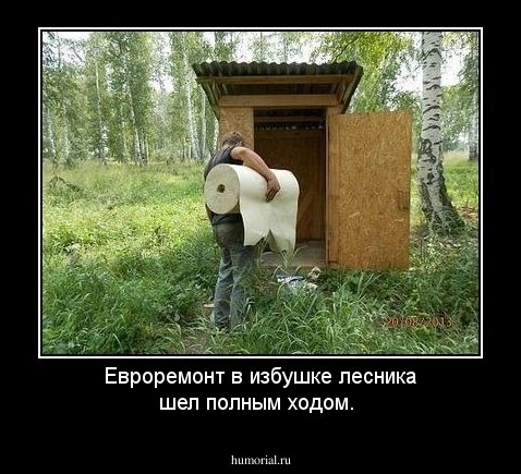 Евроремонт в избушке лесника шел полным ходом.
