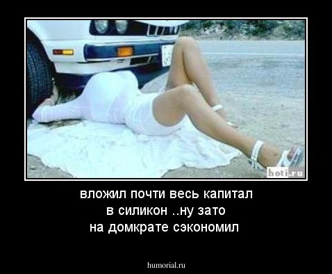   вложил почти весь  капитал в силикон ..ну зато  на домкрате сэкономил
