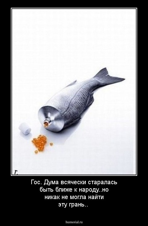 Гос. Дума всячески старалась быть ближе к народу..но никак не могла найти эту грань..