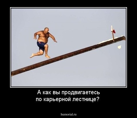 А как вы продвигаетесь по карьерной лестнице?