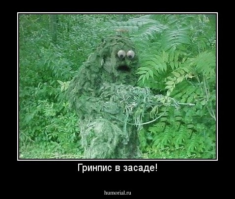 Гринпис в засаде!