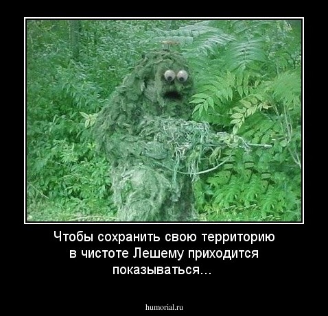 Чтобы сохранить свою территорию в чистоте Лешему  приходится  показываться...