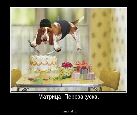 Матрица. Перезакуска.