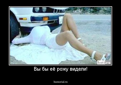 Вы бы её рожу видели!