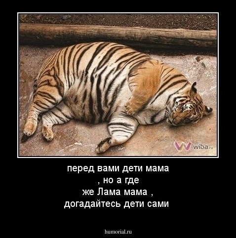перед вами дети мама , но а где же Лама мама , догадайтесь дети сами