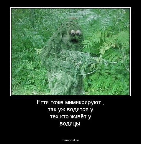 Етти тоже мимикрируют , так уж водится у тех кто живёт у водицы