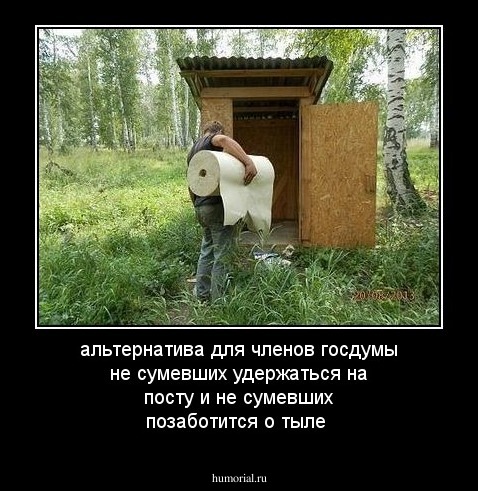 альтернатива для членов госдумы не сумевших удержаться на посту  и не сумевших позаботится о тыле