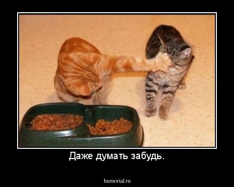 Даже думать забудь.