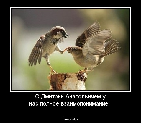 С Дмитрий Анатольичем у нас полное взаимопонимание.