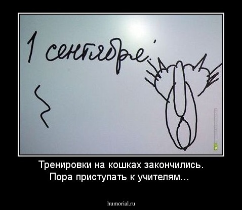 Тренировки на кошках закончились. Пора приступать к учителям...