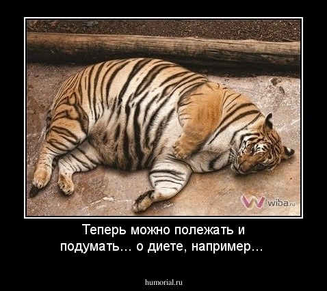 Теперь можно полежать и подумать... о диете, например...