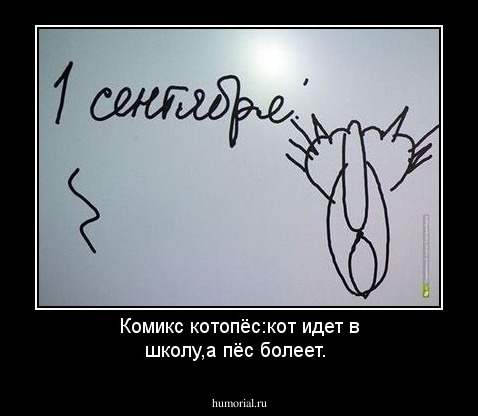 Комикс котопёс:кот идет в школу,а пёс болеет.
