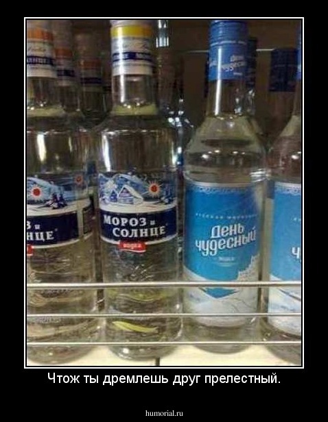 Чтож ты дремлешь друг прелестный.