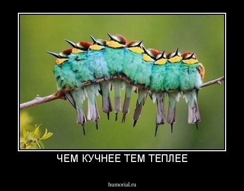 ЧЕМ КУЧНЕЕ ТЕМ ТЕПЛЕЕ