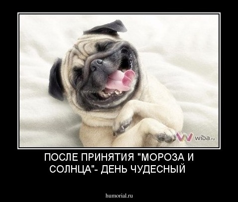 ПОСЛЕ ПРИНЯТИЯ "МОРОЗА И СОЛНЦА"- ДЕНЬ ЧУДЕСНЫЙ
