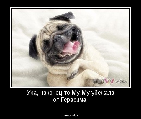 Ура, наконец-то Му-Му  убежала  от Герасима