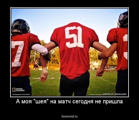 А моя "шея" на матч сегодня не пришла