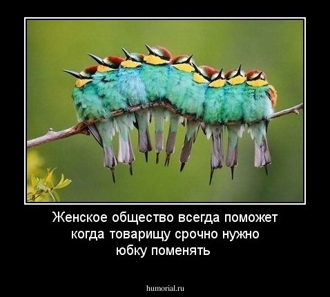 Женское общество всегда поможет когда товарищу срочно нужно юбку поменять