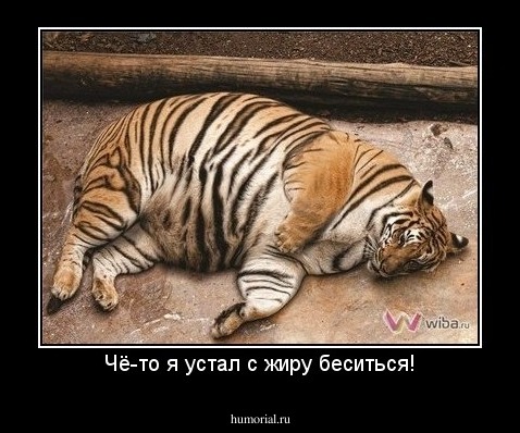 Чё-то я устал с жиру беситься!