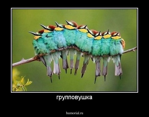 групповушка