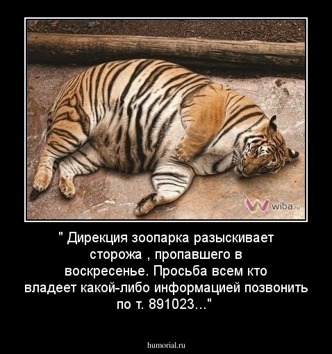 " Дирекция зоопарка разыскивает сторожа , пропавшего в воскресенье. Просьба всем кто владеет какой-либо  информацией позвонить по т. 891023..."