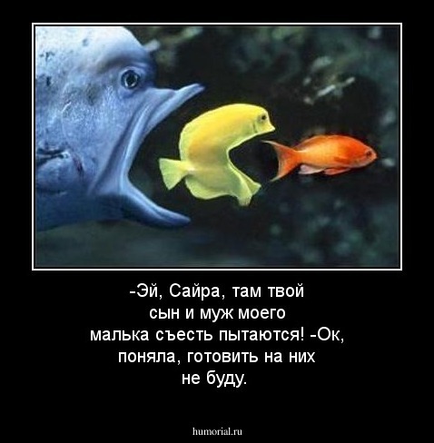 -Эй, Сайра, там твой сын и муж моего малька съесть пытаются! 
-Ок, поняла, готовить на них не буду.