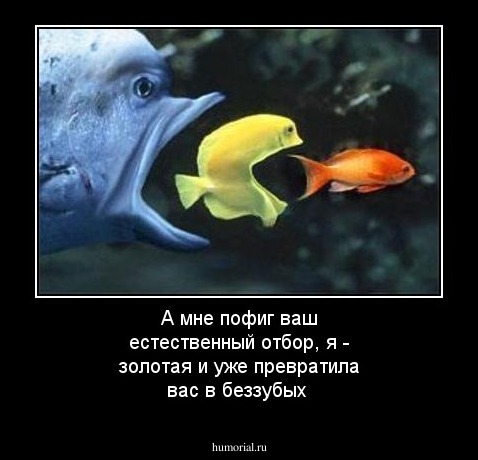 А мне пофиг ваш естественный отбор, я - золотая и уже превратила вас в беззубых