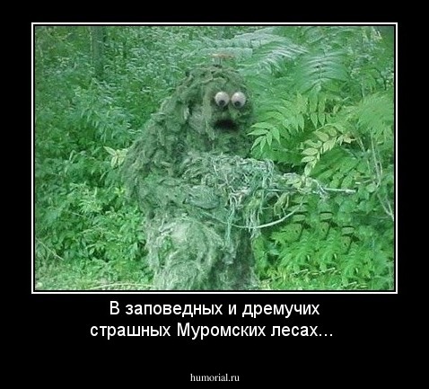 В заповедных и дремучих страшных Муромских лесах...