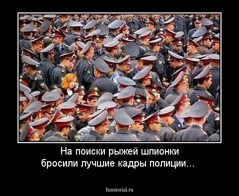 На поиски рыжей шпионки бросили лучшие кадры полиции...