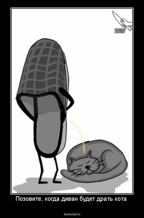 Позовите, когда диван будет драть кота 