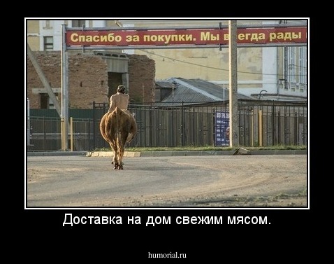 Доставка на дом свежим мясом.