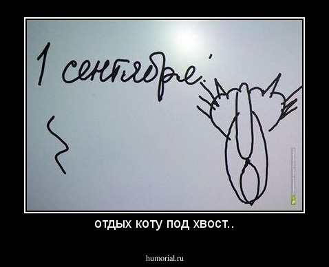 отдых коту под хвост..