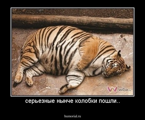 серьезные нынче колобки пошли..