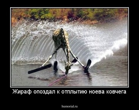 Жираф опоздал к отплытию ноева ковчега