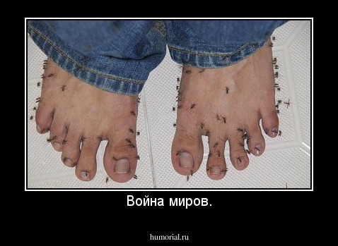 Война миров.