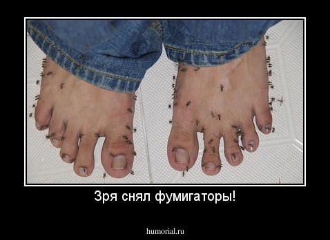 Зря снял фумигаторы!