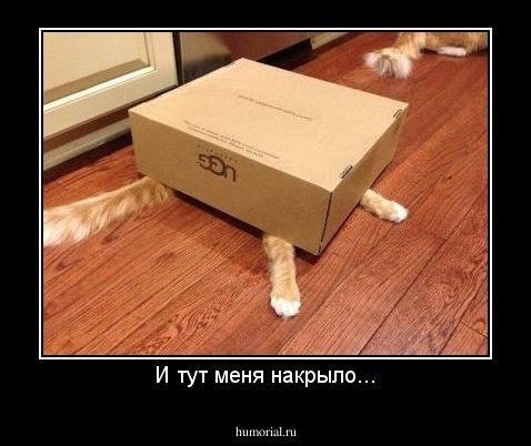 И тут меня накрыло...