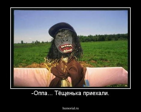 -Оппа... Тёщенька приехали.
