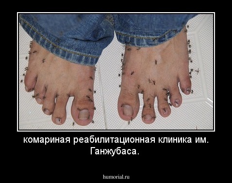 комариная реабилитационная клиника им. Ганжубаса.