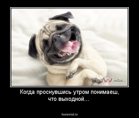 Когда проснувшись утром понимаеш, что выходной...