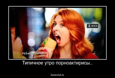 Типичное утро порноактирисы..