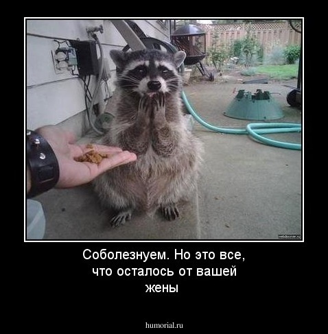 Соболезнуем. Но это все, что осталось от вашей жены