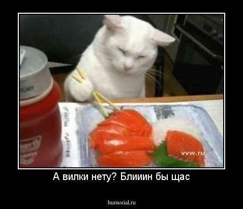 А вилки нету? Блииин бы щас
