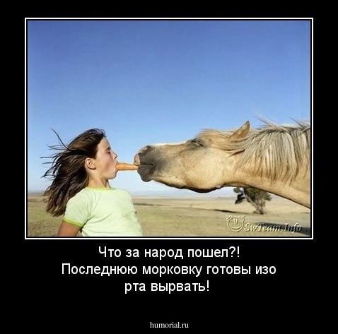 Что за народ пошел?! Последнюю морковку готовы изо рта вырвать!