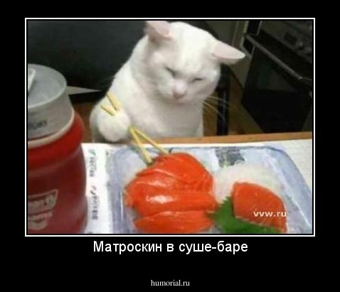 Матроскин в суше-баре