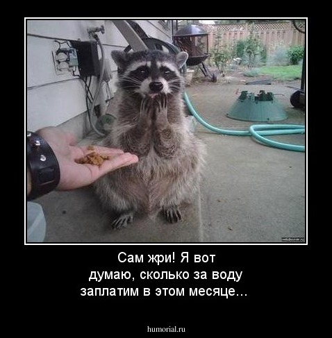 Сам жри! Я вот думаю, сколько за воду заплатим в этом месяце... 
