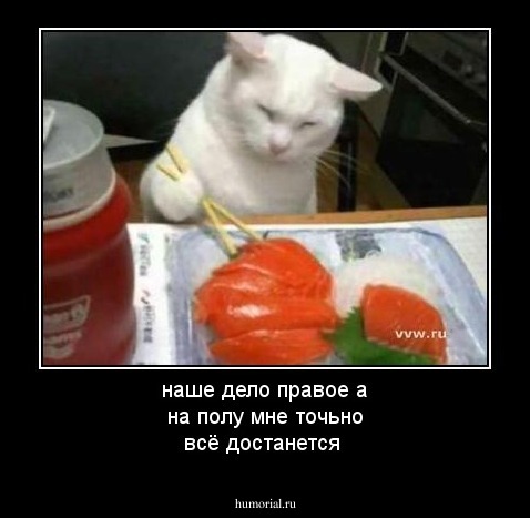 наше дело правое а на полу мне точьно всё достанется