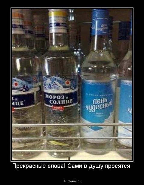 Прекрасные слова! Сами в душу просятся!